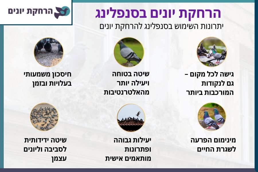 הרחקת יונים בסנפלינג