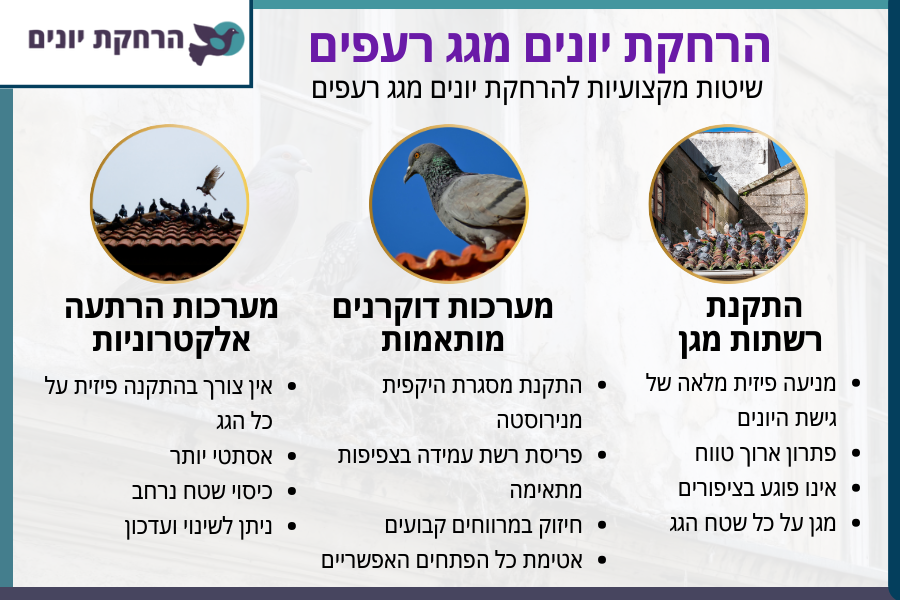 שיטות מקצועיות להרחקת יונים מגג רעפים