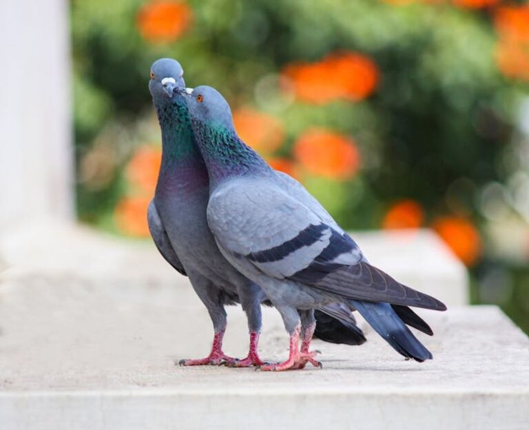 פתרונות בידוד מפני יונים